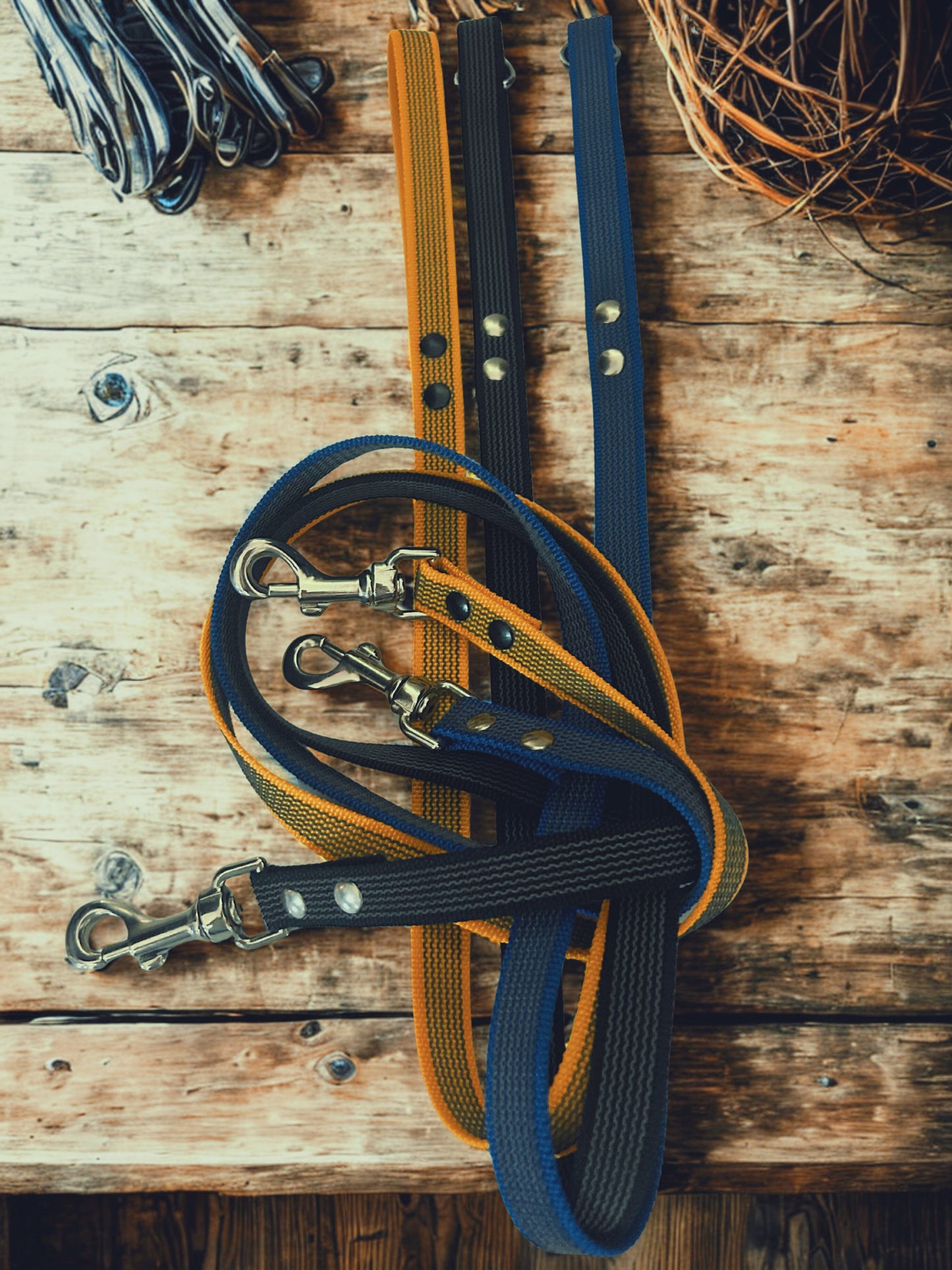 🐾 Guinzaglio in Fettuccia Gommata