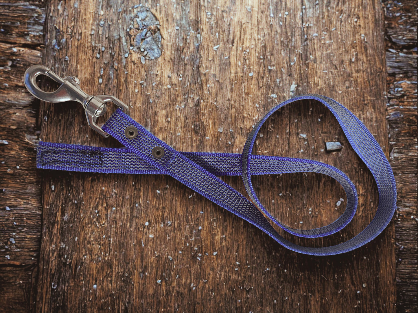 🐾 Guinzaglio in Fettuccia Gommata