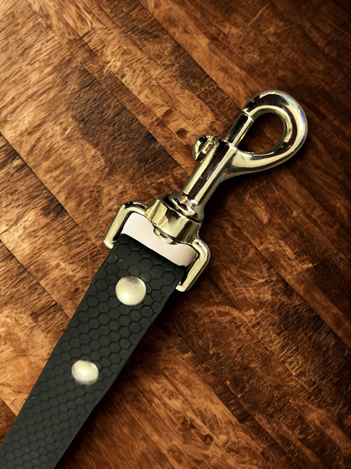 Guinzagli in Biothane