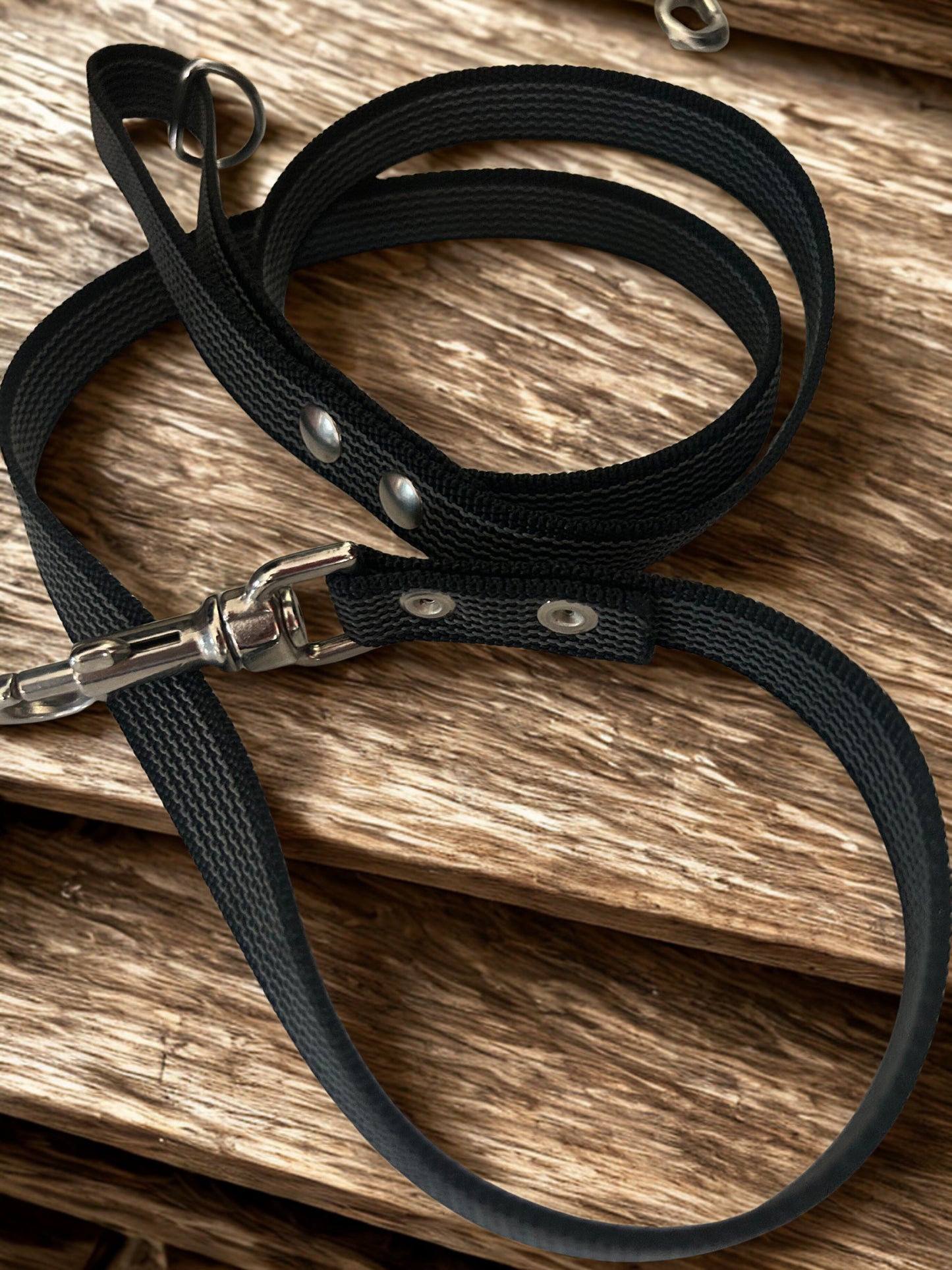 🐾 Guinzaglio in Fettuccia Gommata