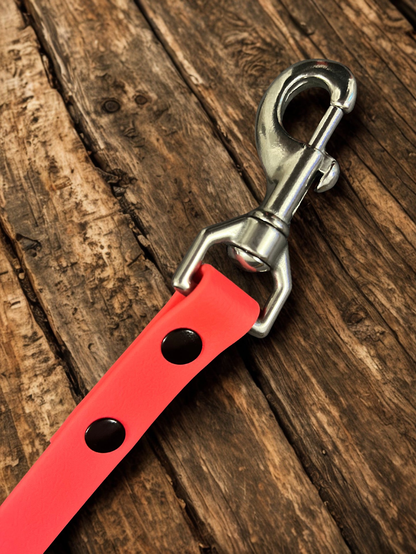 Guinzagli in Biothane