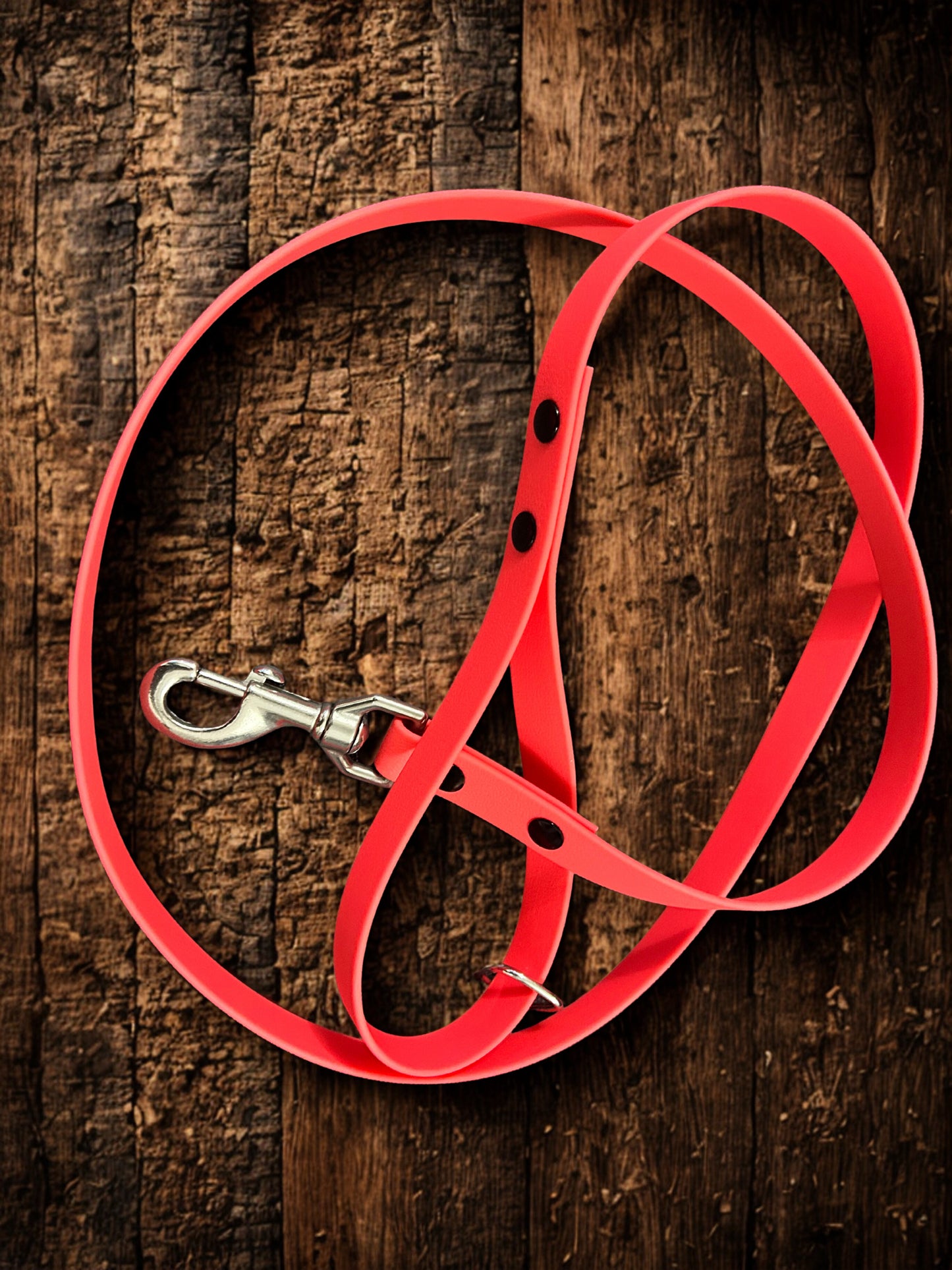 Guinzagli in Biothane