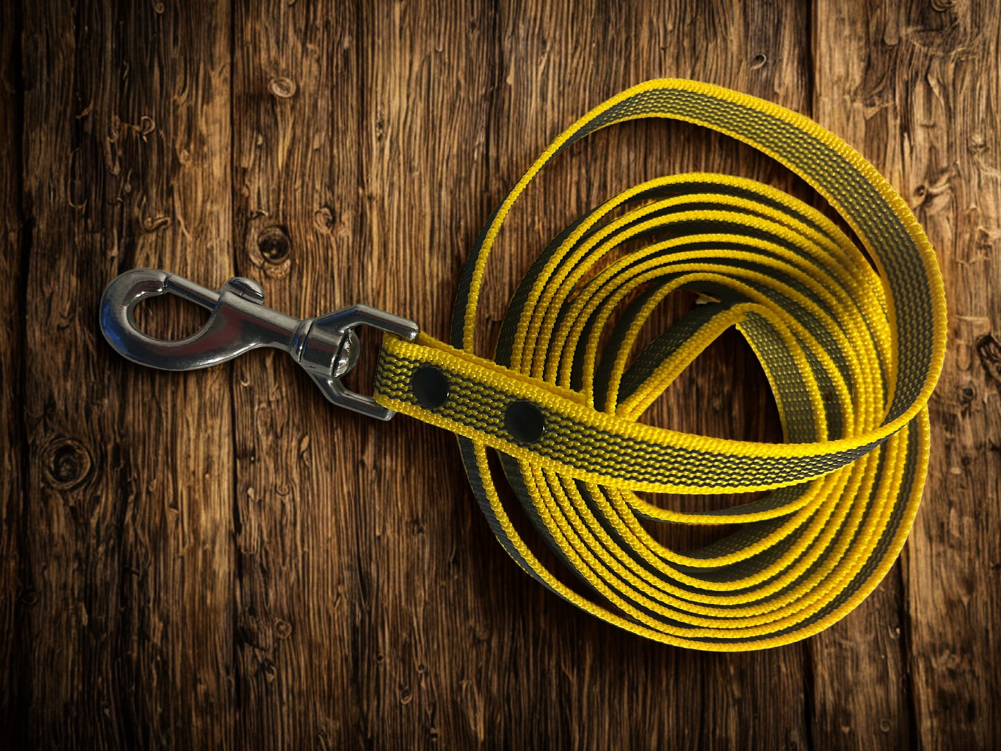 🐾 Guinzaglio in Fettuccia Gommata