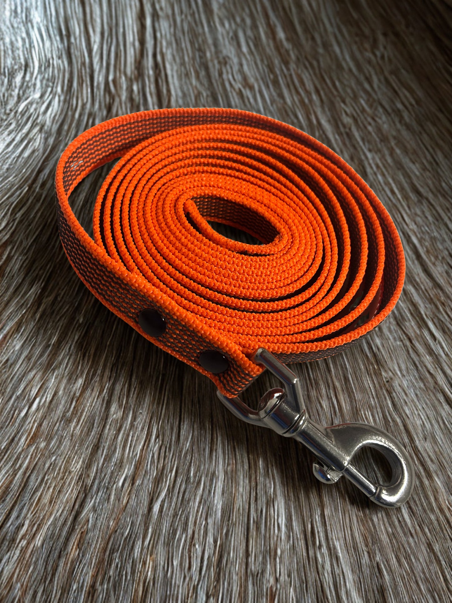 🐾 Guinzaglio in Fettuccia Gommata