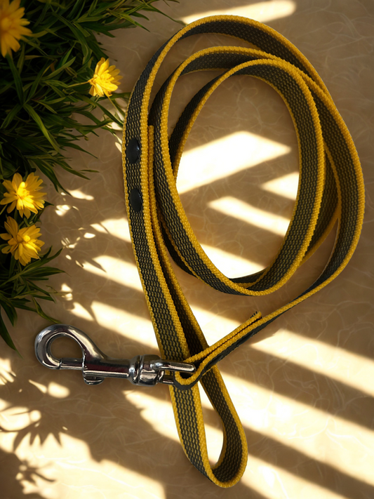 🐾 Guinzaglio in Fettuccia Gommata