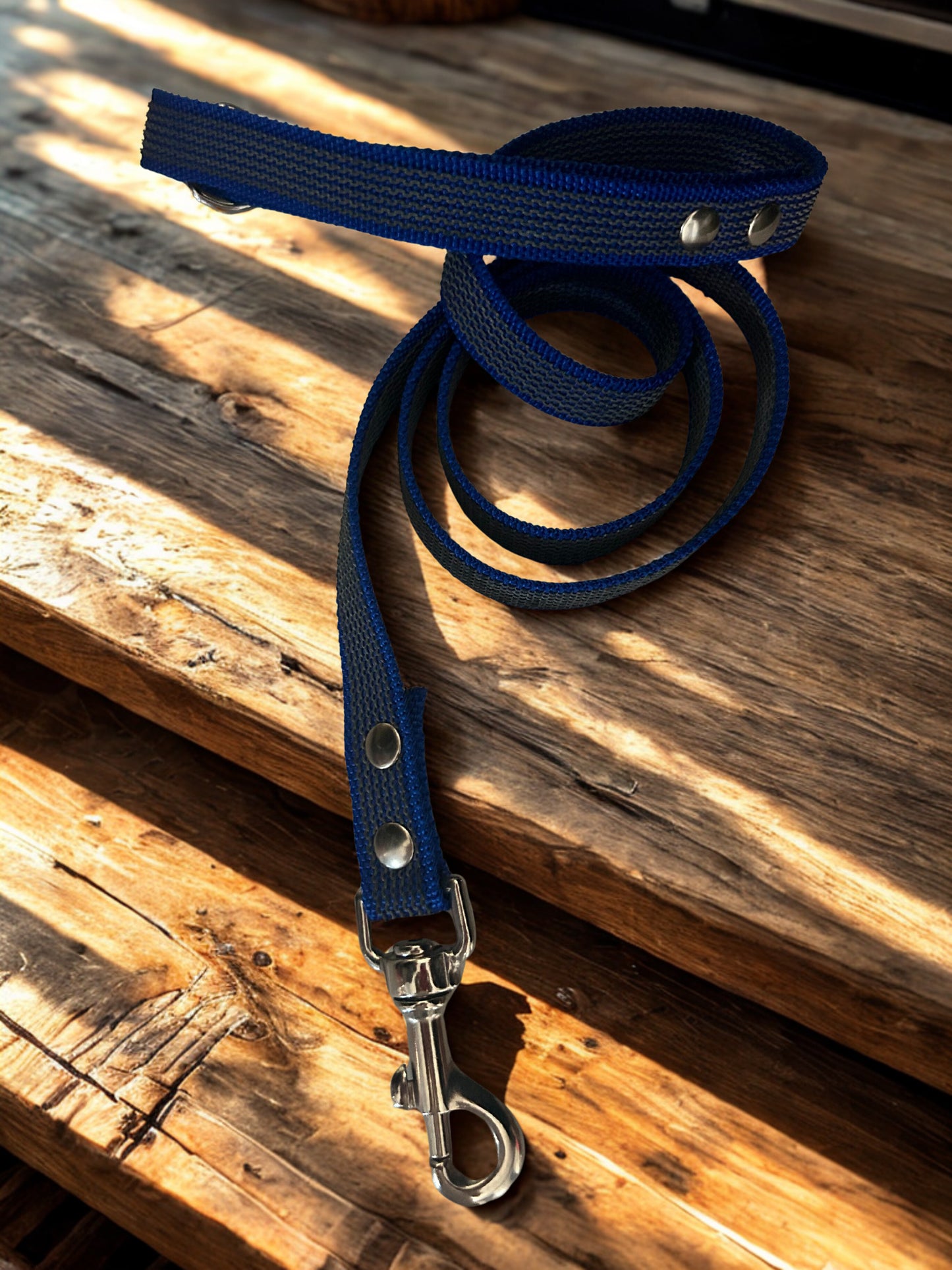 🐾 Guinzaglio in Fettuccia Gommata