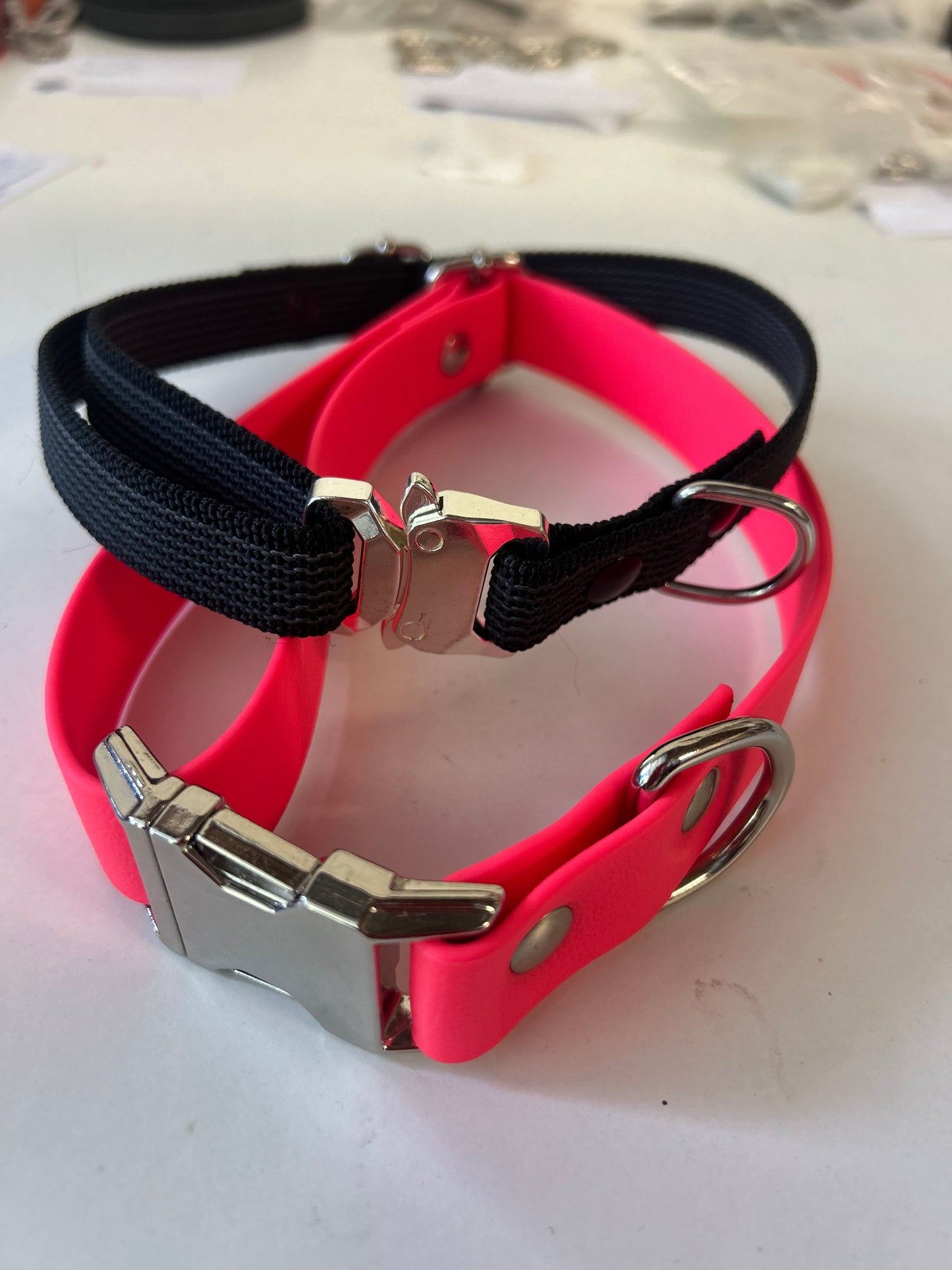 Collare in Biothane con Fibbia in Acciaio