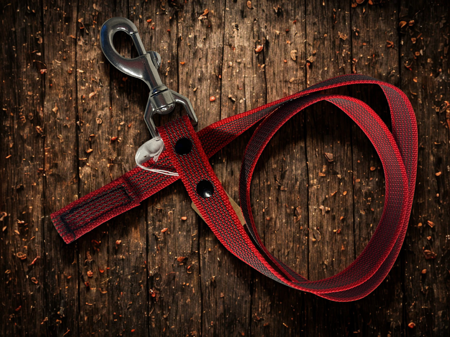 🐾 Guinzaglio in Fettuccia Gommata