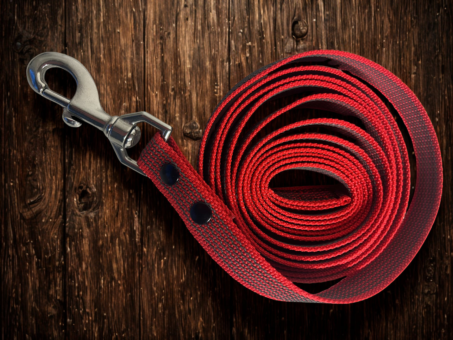 🐾 Guinzaglio in Fettuccia Gommata